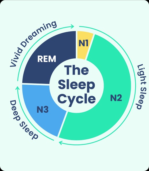 Sleep Cycle